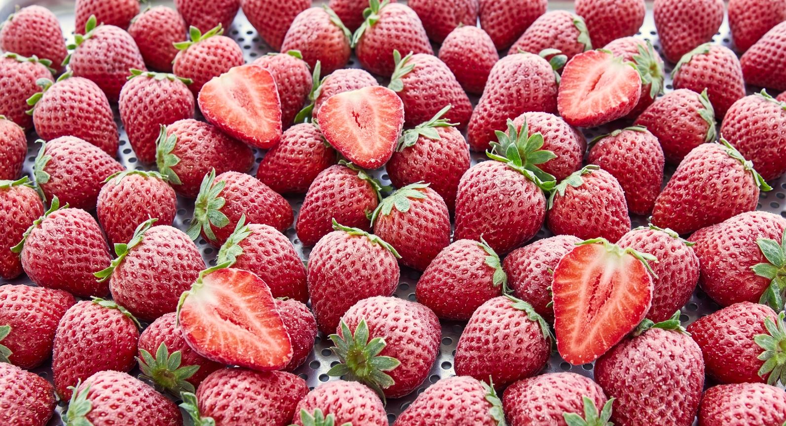 IQF Frozen Berries
